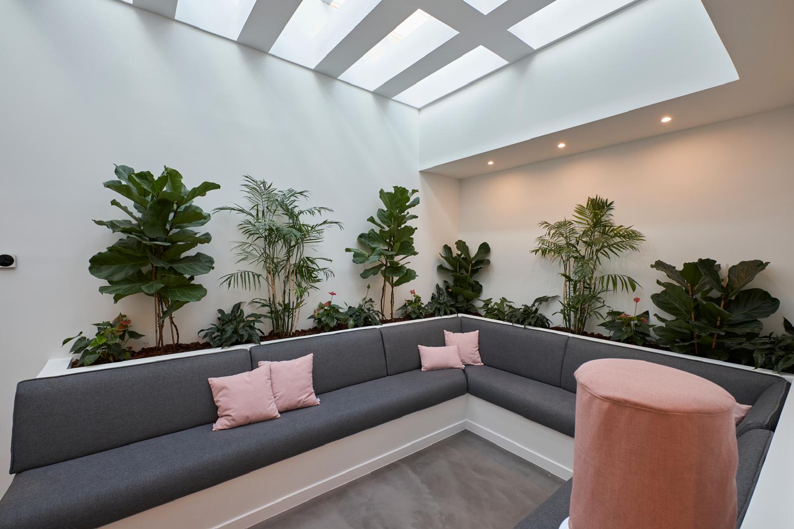Sala de Espera - Andrologia Menorca